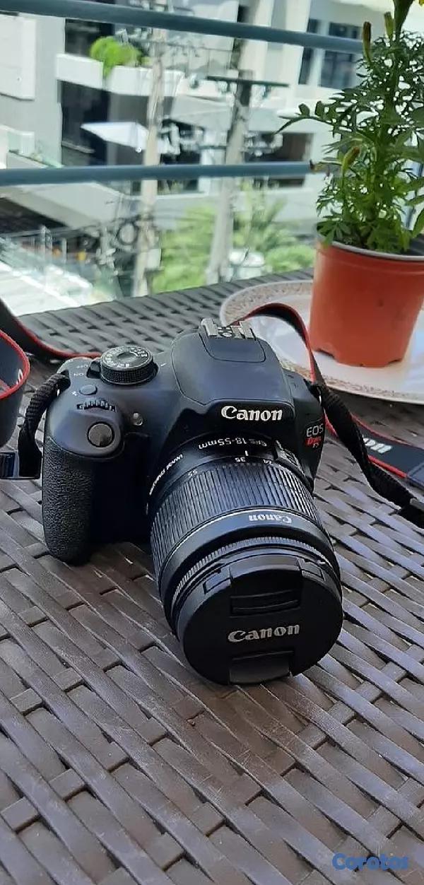 camaras y audio - Canon Rebel T5 + Lente Macro 100mm 6