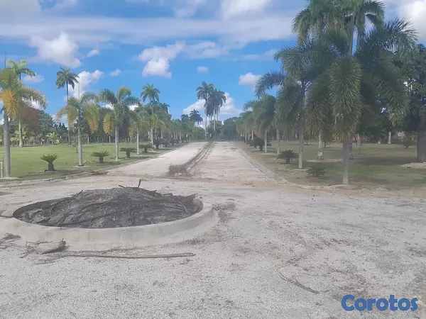 solares y terrenos - venta de finca de 15,193mts en Higuey República Dominicana  4