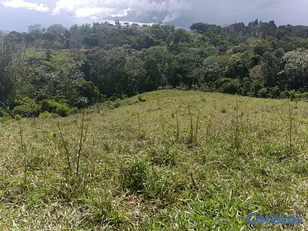 solares y terrenos - finca de 182 tareas en Monte Plata  2