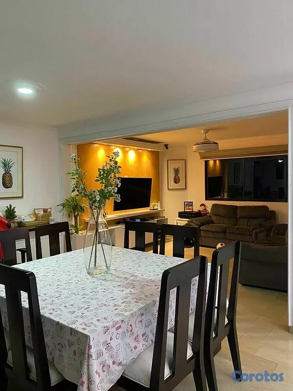 apartamentos - PENTHOUSE EN VENTA EN LA TRINITARIA, SANTIAGO. 4