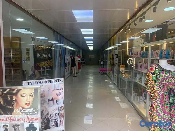 oficinas y locales comerciales - Local con 17 Locales Conde Zona Colonial Rentados 5