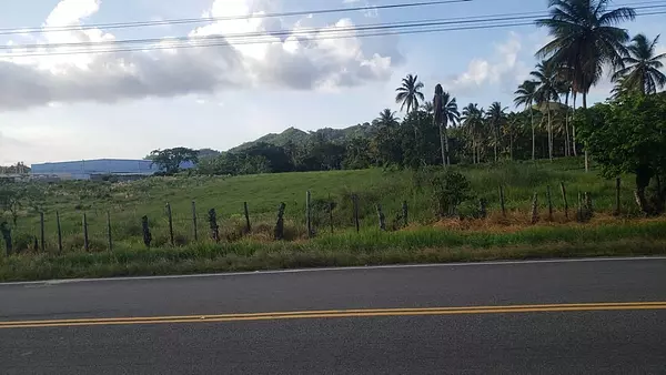 solares y terrenos - Solar en venta en Sanchez - Samana 2