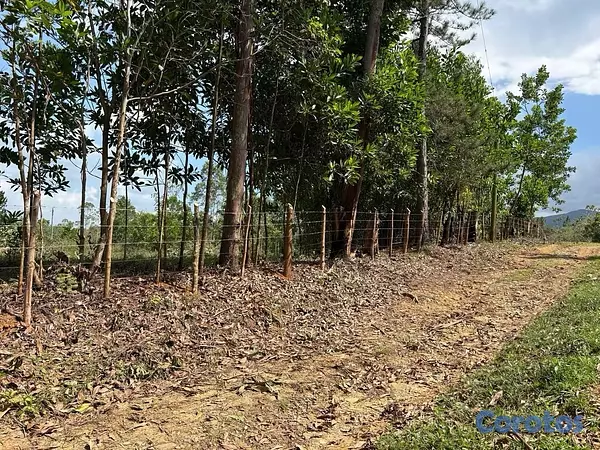 solares y terrenos - Lotes (terrenos) campestre En Los Mogotes, Villa Altagracia, En Proyecto Cerrado 10