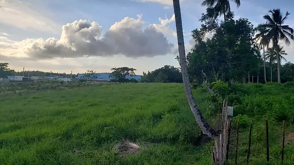 solares y terrenos - Solar en venta en Sanchez - Samana 4