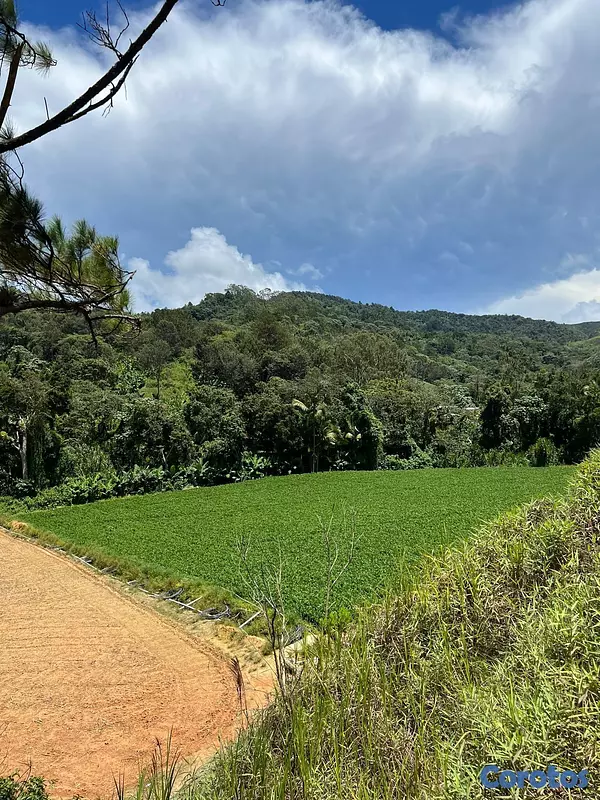 solares y terrenos - Finca Agricola en Constanza 2795 tareas  4