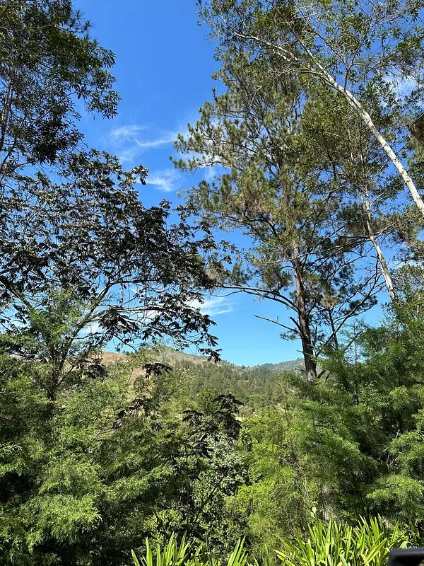 solares y terrenos - Colinas del Bosque, Solares Las Montañas de Constanza  3