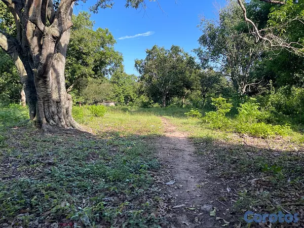 casas - Oportunidad! 38,000 m² en Nigua - Ideal para Naves o Parqueo 6
