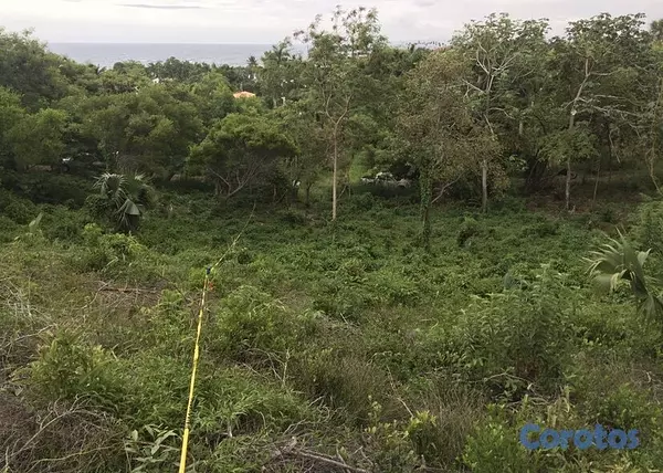 solares y terrenos - Solar en playa cofresi 1,300 metros puerto plata  1