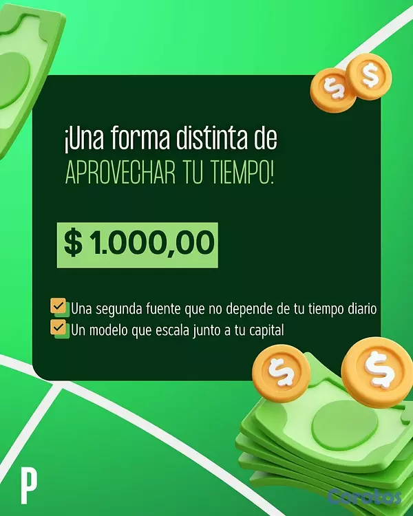 servicios profesionales - Invierte y haz que tu dinero trabaje por ti con Co 1