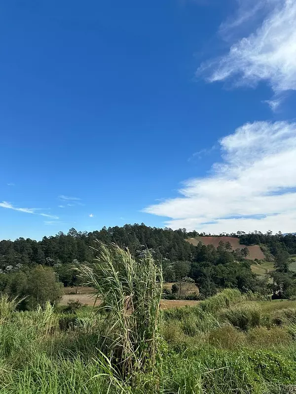 solares y terrenos - Colinas del Bosque, Solares Las Montañas de Constanza  4