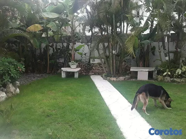 apartamentos - Habitacion compartida, amueblado,cama abanico, wifi, aire ac.  $ 15 US 4