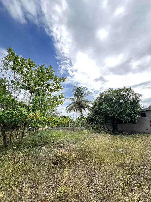 solares y terrenos - Solar de Venta en Carretera Puñal 4