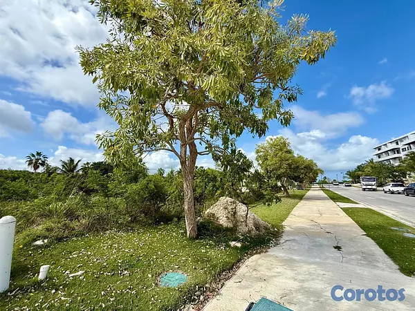 solares y terrenos - Terreno en Cap Cana con CONFOTUR 2