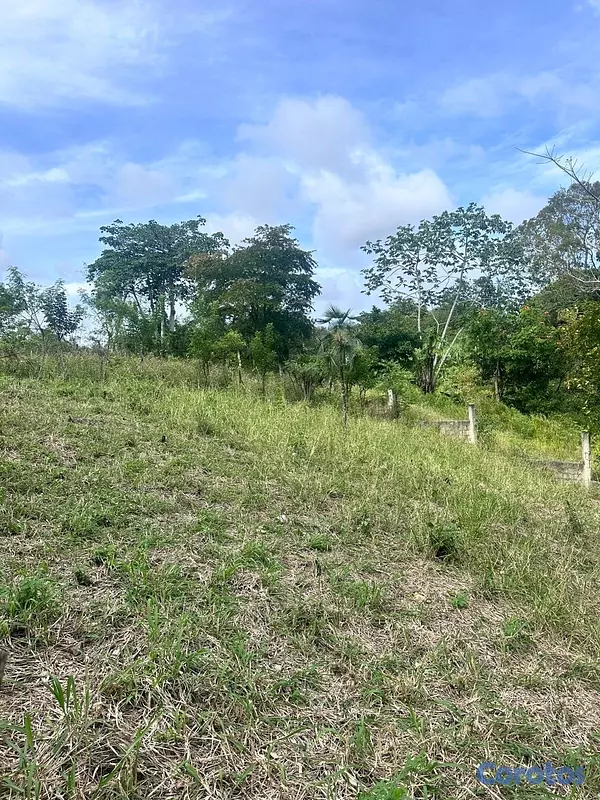 solares y terrenos - Terreno ( Finquita) 700 metros ubicado en bajos de Haina , sector el carril . 3