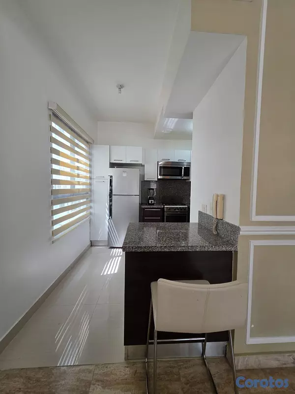 apartamentos - Apartamento en alquiler amueblado, Piantini 7