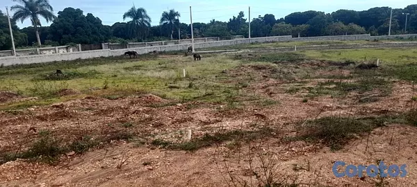 solares y terrenos - Vendo Terreno En San Ceristóbal  6
