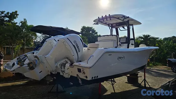 botes - título de florida con su matrícula de navegar en RD 17