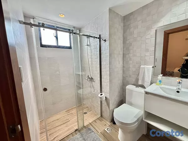 apartamentos - Penthouse tipo loft amueblado en alquiler en Naco 9