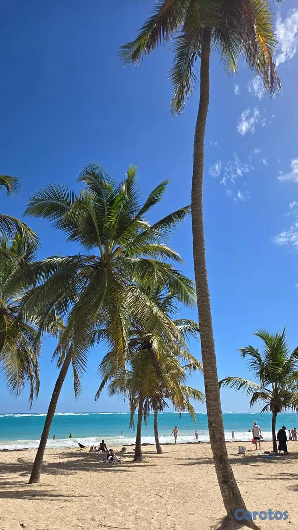 apartamentos - Penthouse amueblado en White Sands Punta Cana | Ro 9