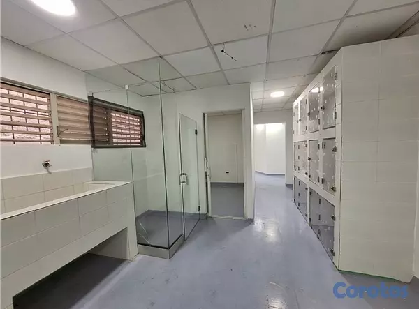 oficinas y locales comerciales - LOCAL COMERCIAL 6