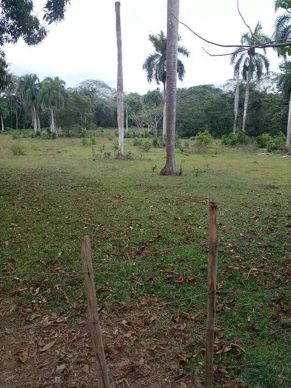 solares y terrenos - finca de 53 tareas en monte plata  7