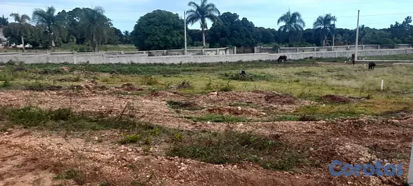 solares y terrenos - Vendo Terreno En San Ceristóbal  7