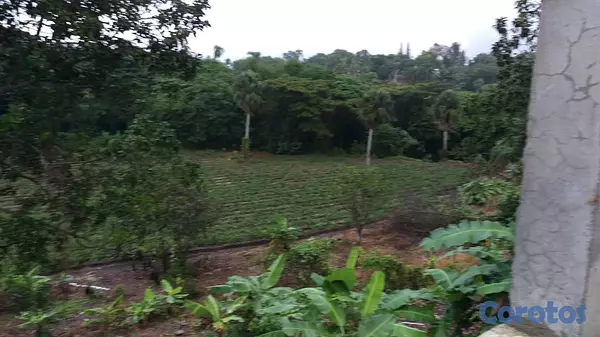 solares y terrenos - Venta de finca con edificación comercial residencial
precio por metro cuadrado 2
