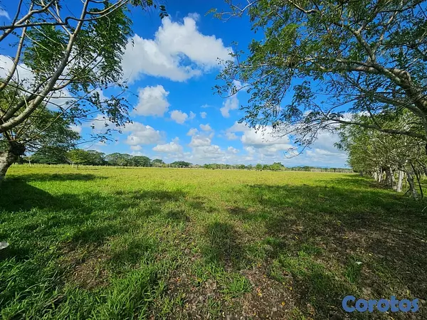 solares y terrenos - Gran Finca Ganadera en San Francisco de Macoris de 20