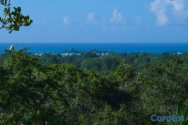 solares y terrenos - TERRENO EN VENTA EN BAHAHIBE - ZONA COSTERA DE REPÚBLICA DOMINICANA 4