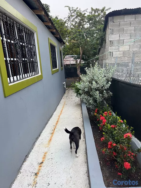casas - Hermosa casa en Los Valerios La Vega cerca de la p 7