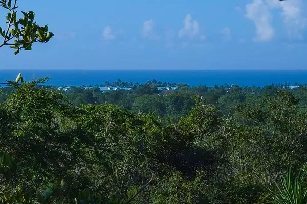 solares y terrenos - VENTA DE TERRENO EN BAHAHIBE - ZONA COSTERA DE REPÚBLICA DOMINICANA 3
