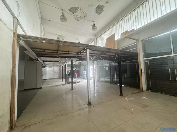 oficinas y locales comerciales - LOCAL COMERCIAL VILLA FRANCISCA  3