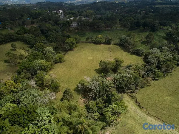solares y terrenos - Terrenos en Jarabacoa 4