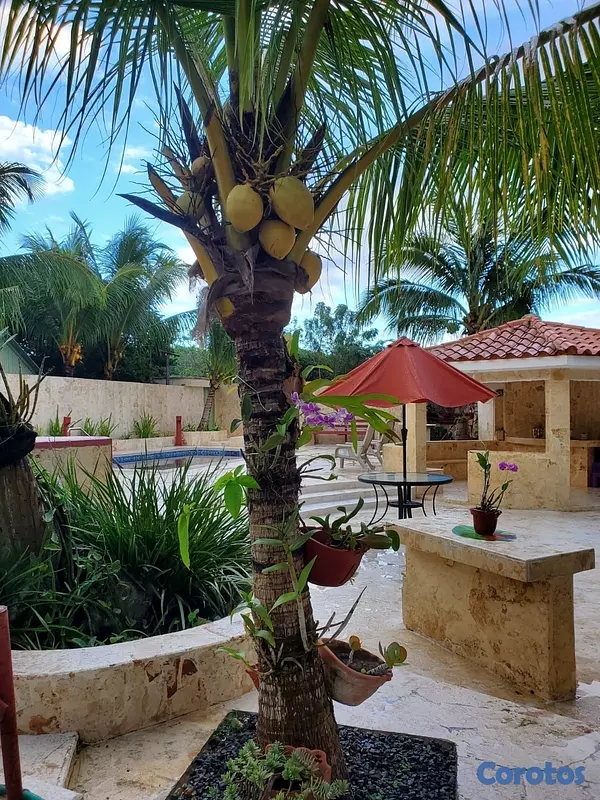 casas vacacionales y villas - venta de Villa en Cumayasa entre Juan dolió y la Romana a 500m2 de la playa  7