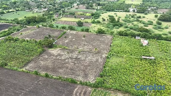 solares y terrenos - Terreno en Venta de Oportunidad, en Palmar Santiag 2