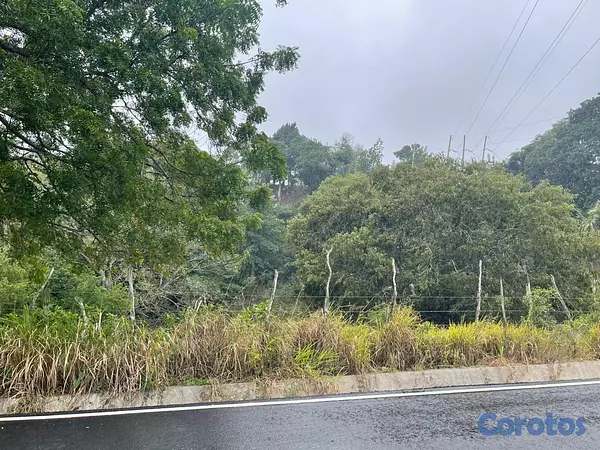 solares y terrenos - Terreno de Venta en San Jose de Las Matas 6