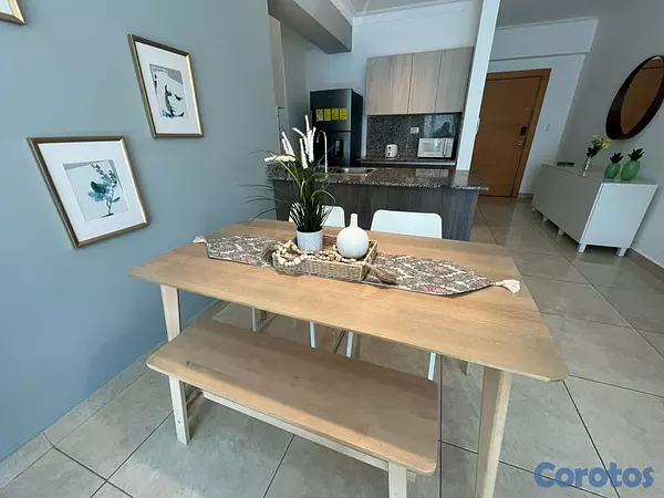 apartamentos - Apartamento en Alquiler en Naco Amueblado de UNA H 8
