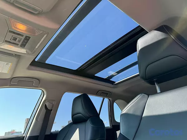 jeepetas y camionetas - Toyota RAV4 2019 Limited 9