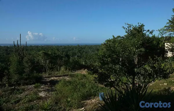 solares y terrenos - TERRENO EN VENTA EN BAHAHIBE - ZONA COSTERA DE REPÚBLICA DOMINICANA 5