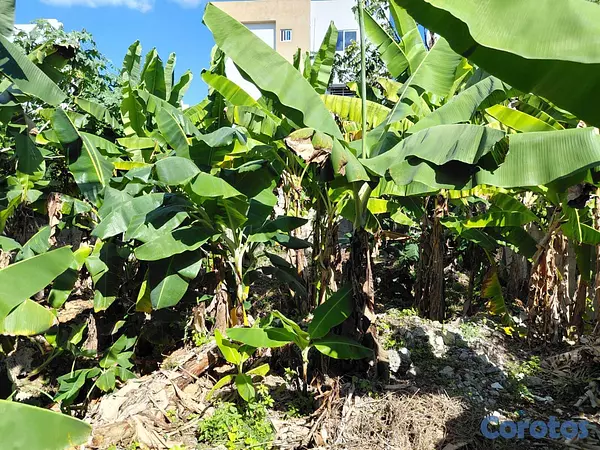 solares y terrenos - Terreno en venta en Santo Domingo Este 270 m2 en M 2