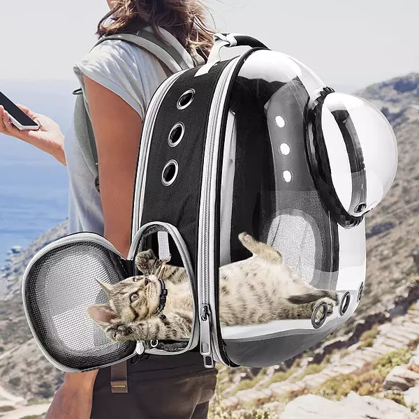 animales y mascotas - Mochila para gatos, bolsa de burbujas para perros, mochila para perros pequeños  1