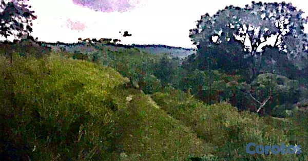 solares y terrenos - finca de 729 tareas en san José de las matas  7