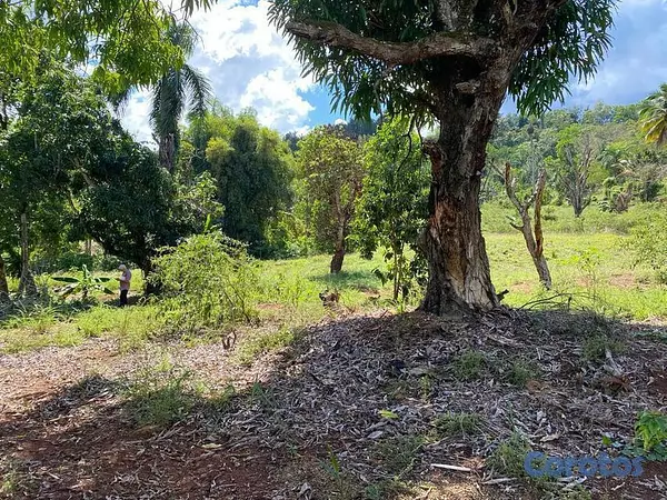 solares y terrenos - Terreno en venta en San Cristobal 7