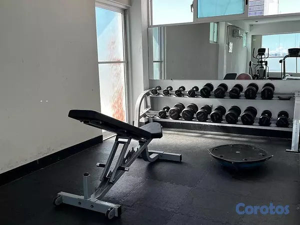 apartamentos - Apartamento en alquiler en Piantini 8