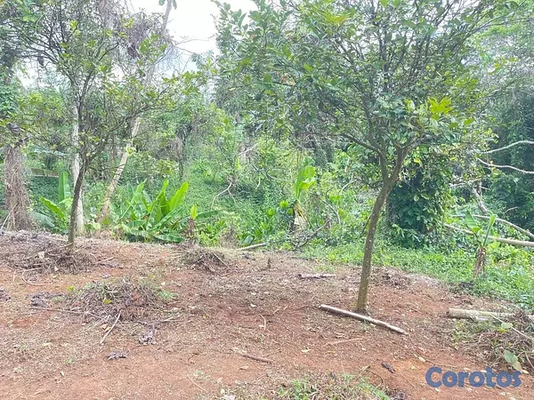 solares y terrenos - Oportunidad: Terreno 3,323 m² con Título en Don Juan, Monte Plata 8