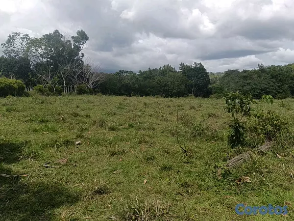 solares y terrenos - finca de 182 tareas en Monte Plata  3