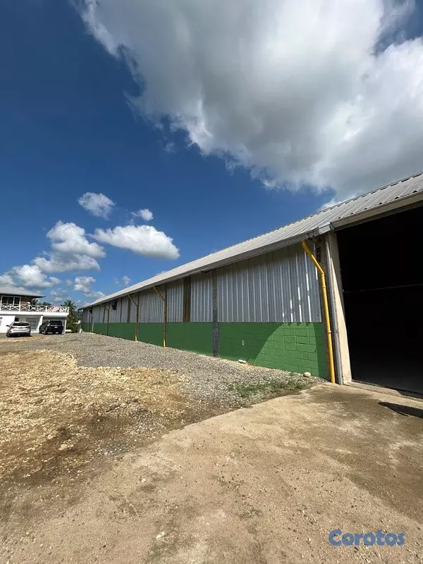 oficinas y locales comerciales - ALQUILER DE NAVE EN LA 6 DE NOVIEMBRE 6