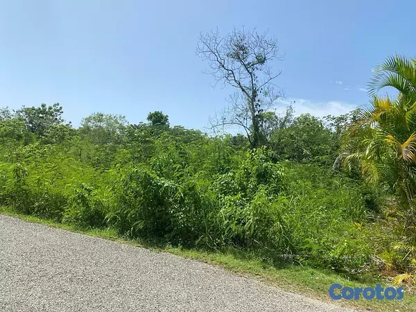 solares y terrenos - Vendo solar en Guavaberry de 887 m2 4
