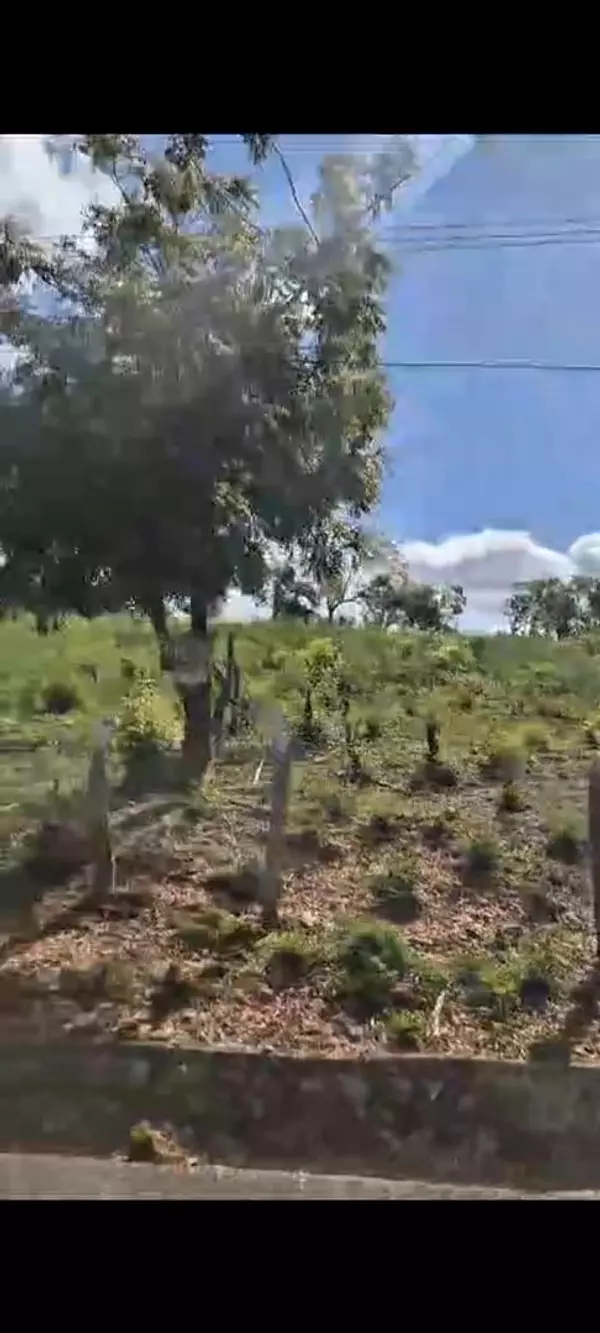 solares y terrenos - Se Vende Solar en Zona Turisticas, La Isabela  2