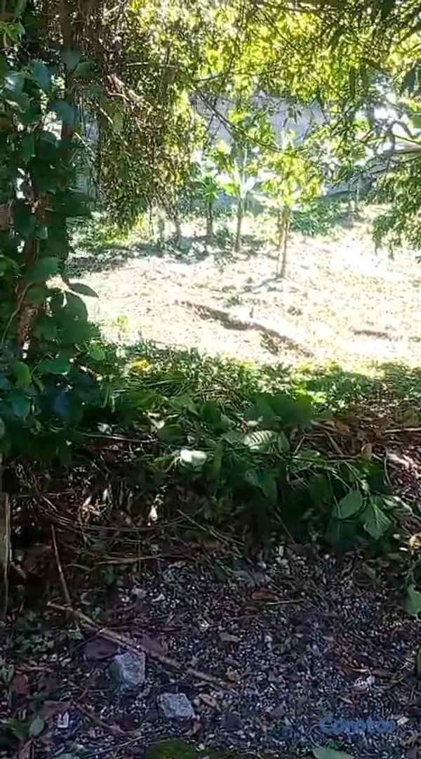 solares y terrenos - Venta de Solar en Arroyo Manzano 2